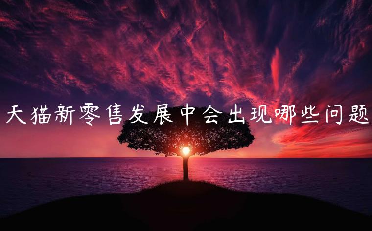 天貓新零售發(fā)展中會出現(xiàn)哪些問題